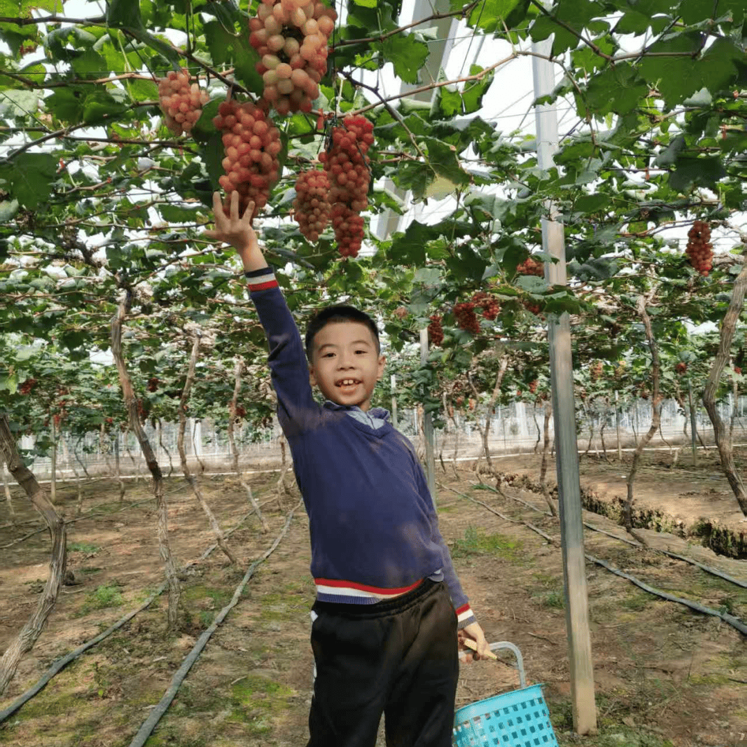 海周迹（202614-202619）第58期开元棋牌《解密儿